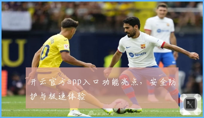 开云官方app入口功能亮点，安全防护与极速体验