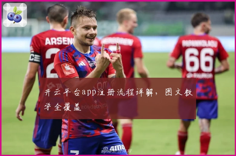 开云平台app注册流程详解,图文教学全覆盖